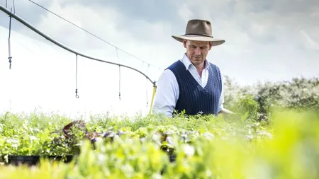 Parlamentul aprobă norme mai simple și un sprijin mai mare pentru fermieri