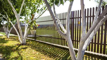 Care sunt regulile ce trebuie respectate, când construiești sau repari un GARD. Legea este clară chiar și pentru înălțime, indiferent de zonă