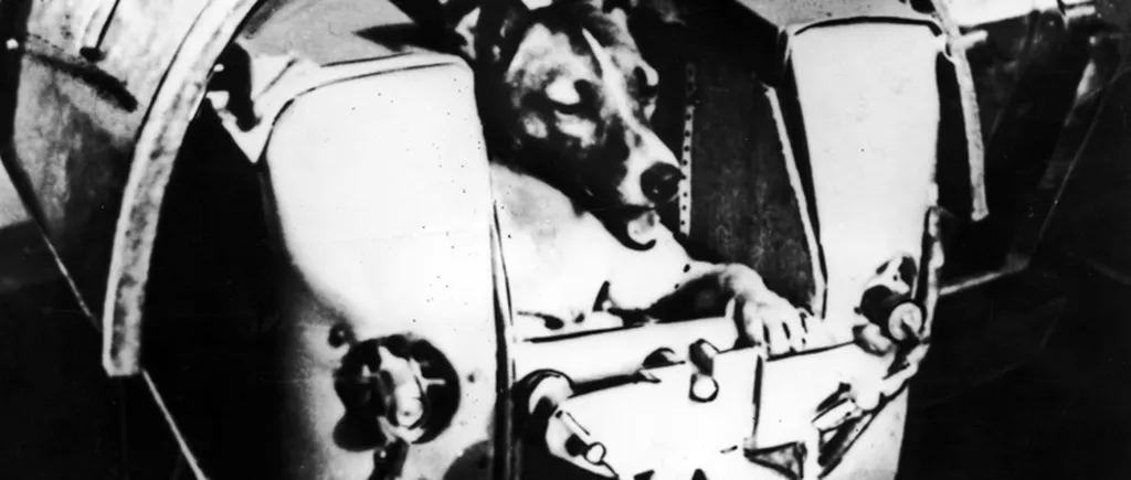 Un costum spațial pentru câini creat de sovietici în anii 1950 va fi scos la licitație