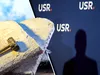 „Cele 10 Porunci ale USR”, lansate de un senator. Cum sună „decalogul” formațiunii politice