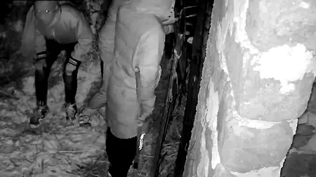 JAF surprins de camerele de supraveghere, în județul Dâmbovița. Trei bărbați înarmați cu un topor și un cuțit au furat un cal