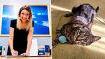 Diana Buzoianu lămurește soarta pisicii-vedetă de la Ministerul Mediului. Ce s-a întâmplat cu Leia