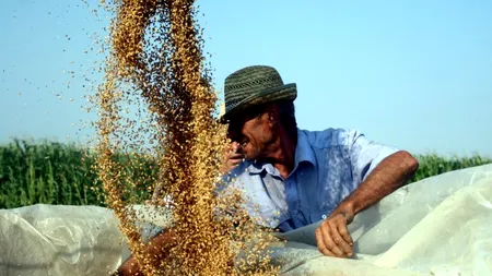 Fermierii pot lua credite pentru producție de la 11 bănci