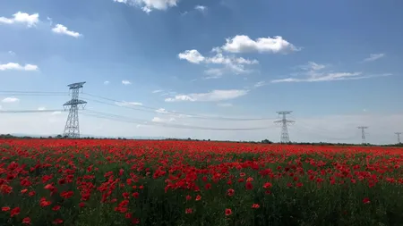 România este exportator net de energie electrică de Paște. Ploile și vântul au crescut producția din Sistemul Energetic Național