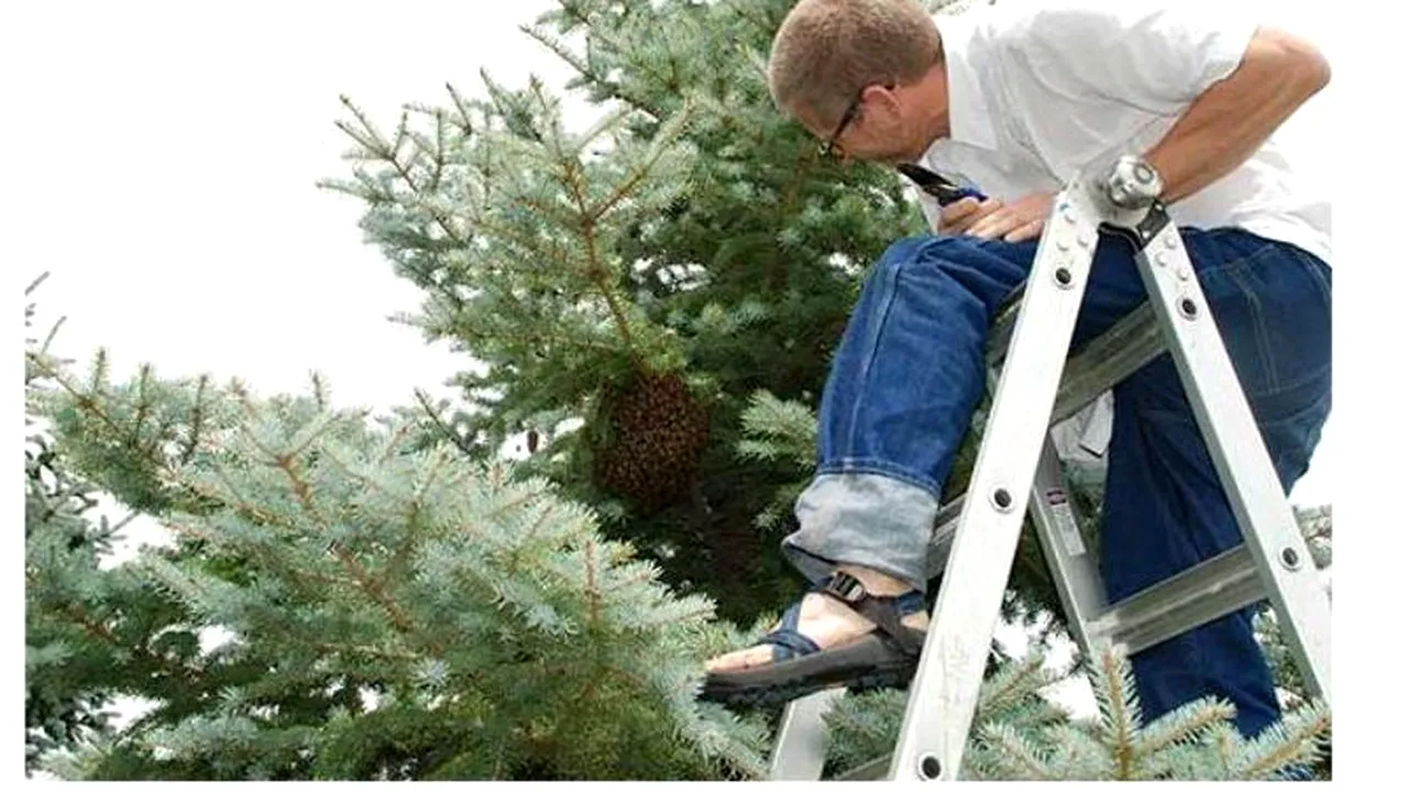 Pasiunea ciudată a acestui bărbat