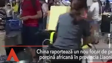 China, un nou focar de PESTĂ PORCINĂ AFRICANĂ în provincia Liaoning
