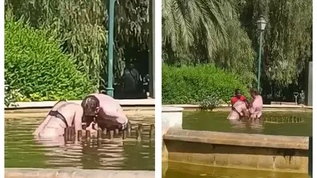 O femeie din Spania a fost la un pas de a muri înecată într-o fântână publică în timp ce era agresată de partenerul ei