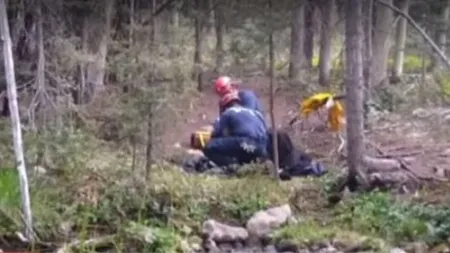 Lecție de viață. A supraviețuit două săptămâni în sălbăticie, deși era grav rănit. Cum a fost posibil