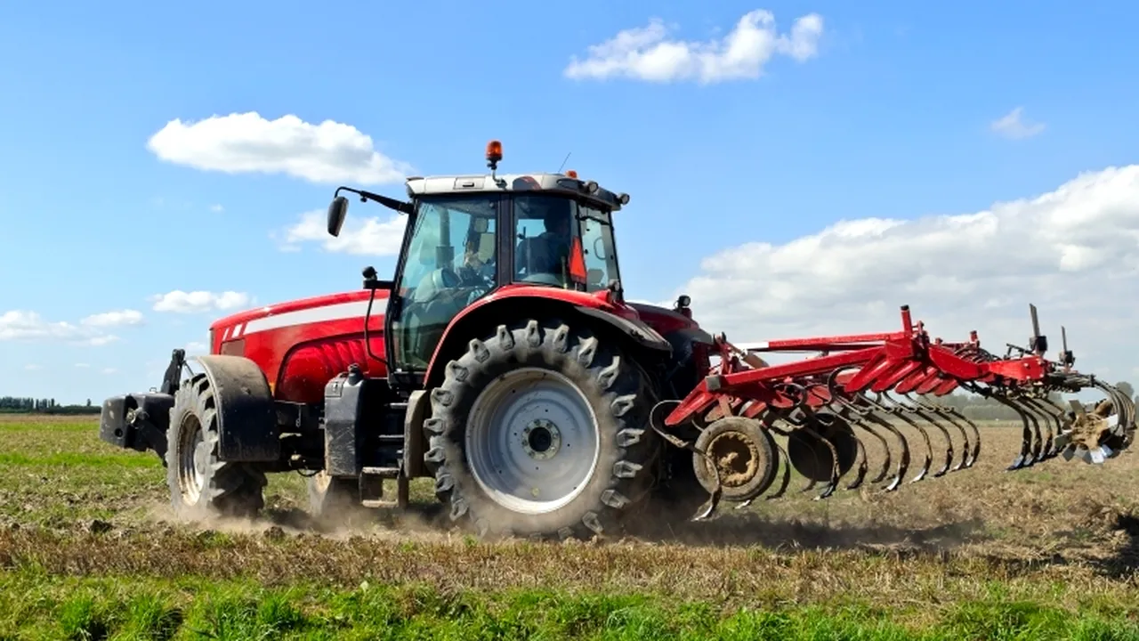 Cum transformă omul an de an 12 hectare de teren agricol în deșert