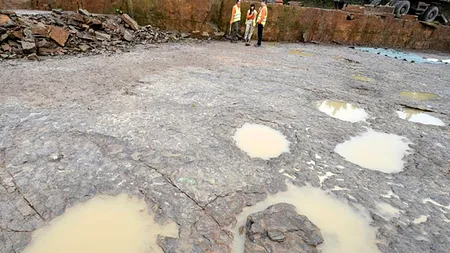 Paleontologii au descoperit amprente „spectaculoase