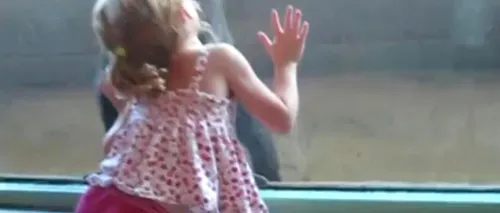 VIDEO. Cum s-a împrietenit o fetiță cu un pui de gorilă 