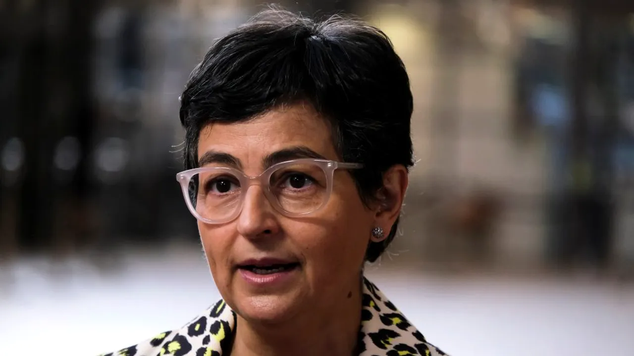 Ministrul spaniol de Externe: Detenția lui Aleksei Navalnîi este arbitrară, am solicitat autorităților ruse eliberarea sa