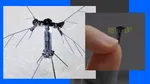China a fabricat ȚÂNTARUL SPION INVIZIBIL. Drona minusculă intră în casă și pe gaura cheii