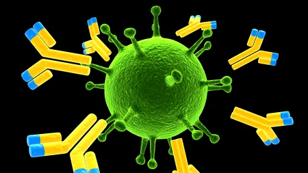 Substanța care este implicată în 300 de procese din organism. Ce se întâmplă când lipsește