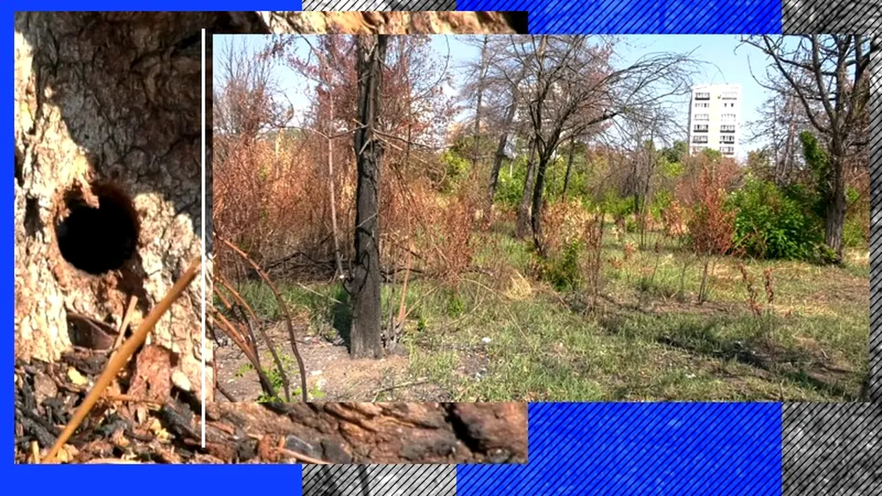 Liberalii din Sectorul 3 au început o acțiune de monitorizare a celor 11 hectare de teren retrocedate din Parcul IOR