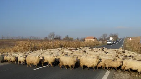 Război în USL pe autostrăzile din Moldova. Hrebenciuc: 
