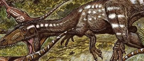 O nouă specie de dinozaur, strămoș al lui Tyrannosaurus Rex, descoperită în America de Sud