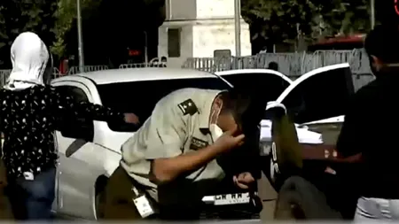 Polițiștii din Chile, atacați de sute albine după ce apicultorii au protestat cu 60 de stupi în fața Palatului Prezidențial (VIDEO)