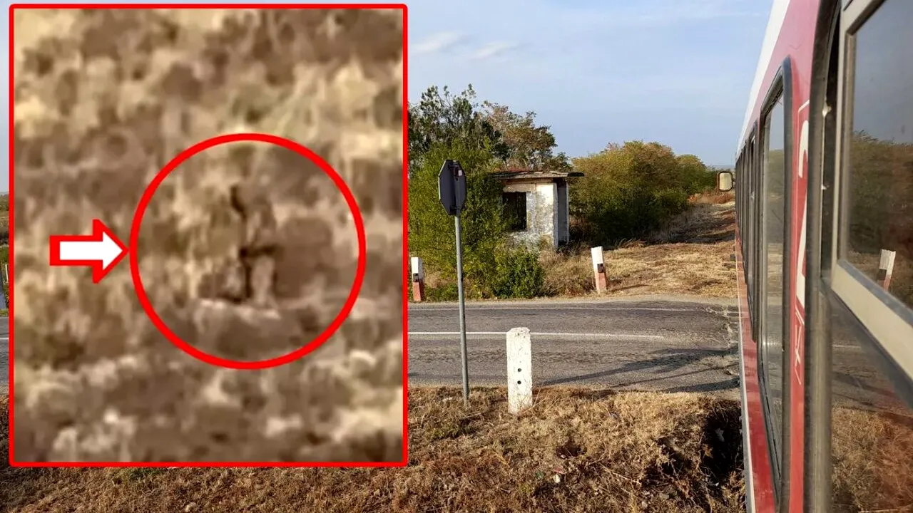 Descoperire IREALĂ făcută din greșeală de un turist. Ce a filmat pe geamul trenului