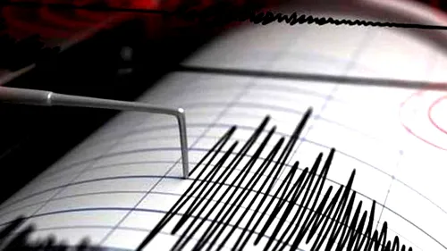 Seism cu magnitudinea 3,3 în județul Vrancea