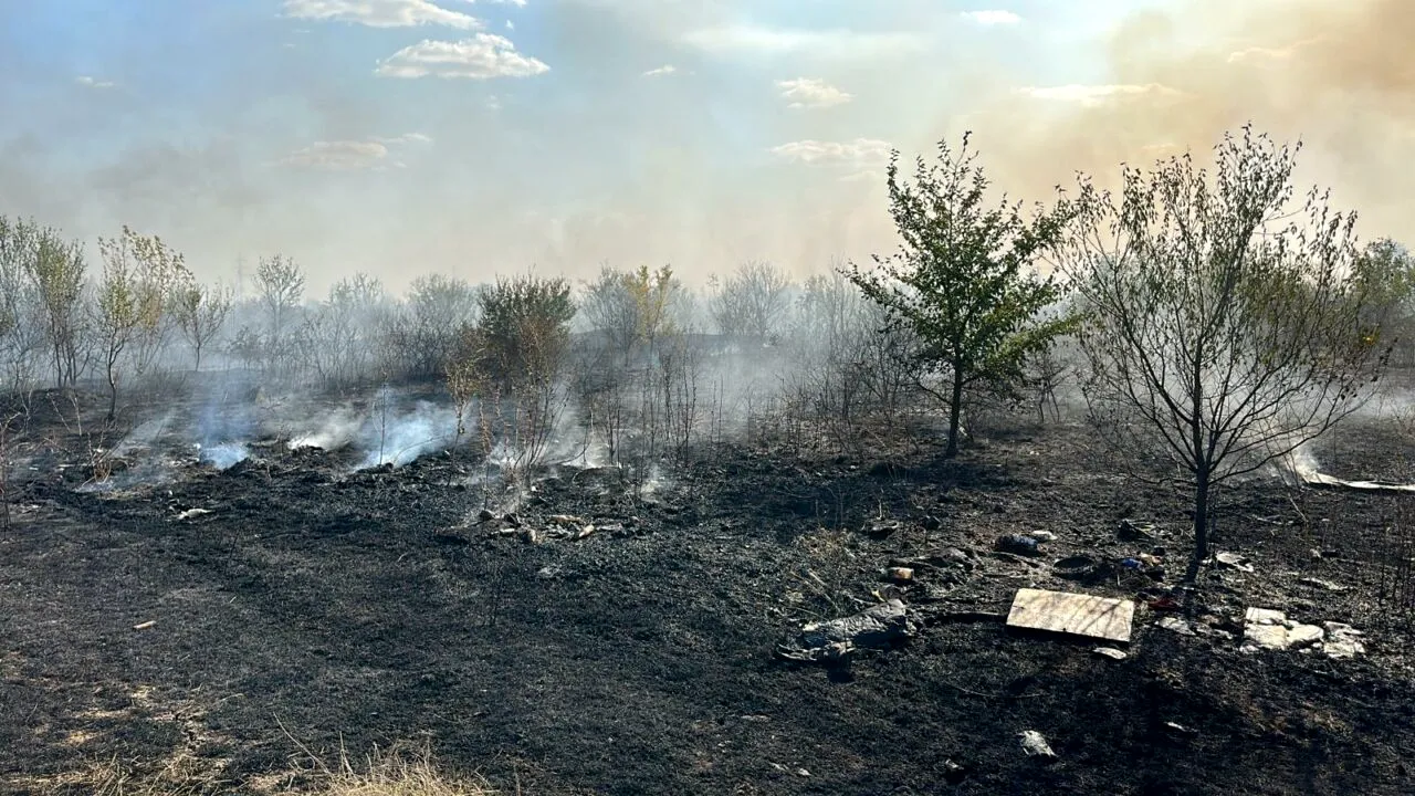 INCENDII puternice în apropiere de București. Autoritățile au intervenit de urgență