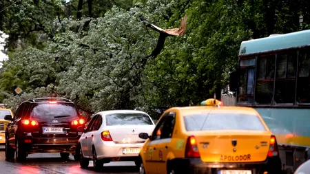 Cod galben de furtună în București, Ilfov și Dâmbovița
