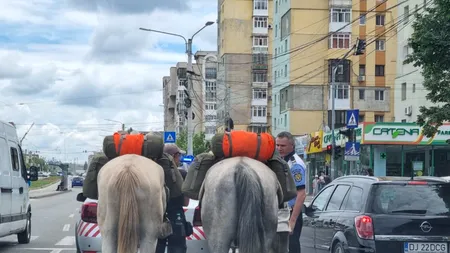 Doi turiști străini, care vizitează călare cetățile medievale din Europa, s-au rătăcit prin Craiova în drumul spre Castelul Bran (VIDEO)