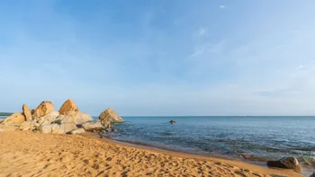 Care sunt cele mai căutate stațiuni de pe litoralul românesc. Află unde aleg românii să-și petreacă vacanța în 2025