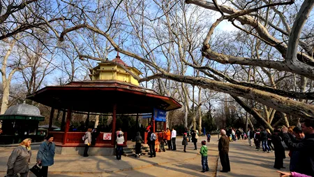 Student cercetat pentru înșelăciune după ce și-a înscenat furtul telefonului mobil ca să încaseze asigurarea