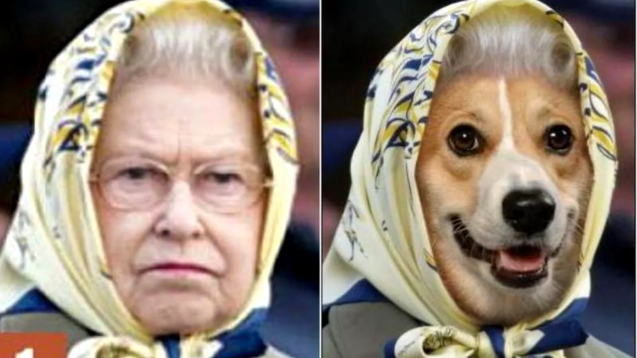 Adevăr sau minciună. Cât seamănă câinii cu stăpânii lor. GALERIE FOTO