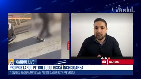 GÂNDUL LIVE. Fără botniță și fără lesă. Un Pitbull a sfâșiat un cățel / Tudor Tim Ionescu: Singura metodă este prevenția