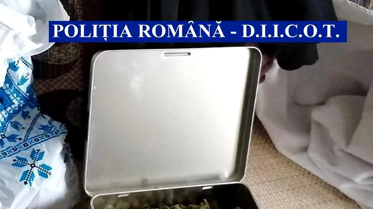 DOSAR. 32 de persoane, duse la audieri, într-un dosar de trafic de droguri. 59 kg de canabis, confiscate