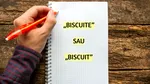 Care este forma corectă: „biscuite” sau „biscuit”?