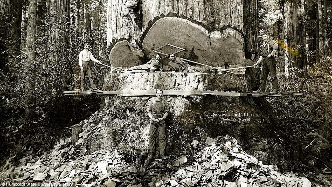 Imagini REALE dintr-o lume dispărută: fotografii de arhivă care-ți vor tăia respirația