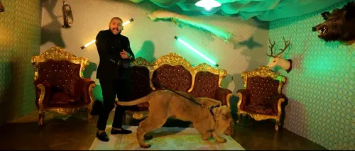 Dansatoarele lui Dani Mocanu, aduse la Poliție în dosarul de schingiuire a leului din ultimul videoclip al cântărețului. Ipoteză sumbră în cazul animalului rănit și bolnav (EXCLUSIV)
