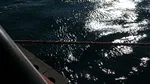O nouă navă lovită de drone în Marea Neagră, la 24 de kilometri de Portul Constanța. Nouă marinari au fost salvaţi, trei sunt dispăruţi, iar unul este decedat