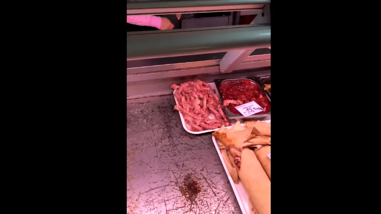 VIDEO - Gândaci morți și rugină în vitrinele frigorifice dintr-o piață din Alexandria 