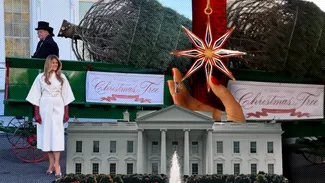 Casa Albă intră în febra pregătirilor de Crăciun. Melania Trump a primit bradul de sărbătoare