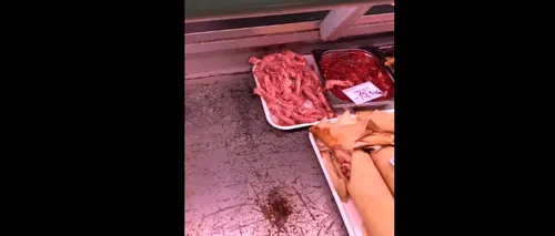 VIDEO - Gândaci morți și rugină în vitrinele frigorifice dintr-o piață din Alexandria 