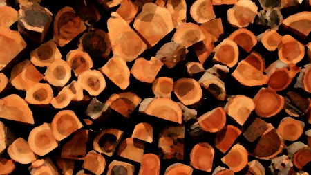 Care este soluția de încălzire de trei ori mai eficientă decât lemnul