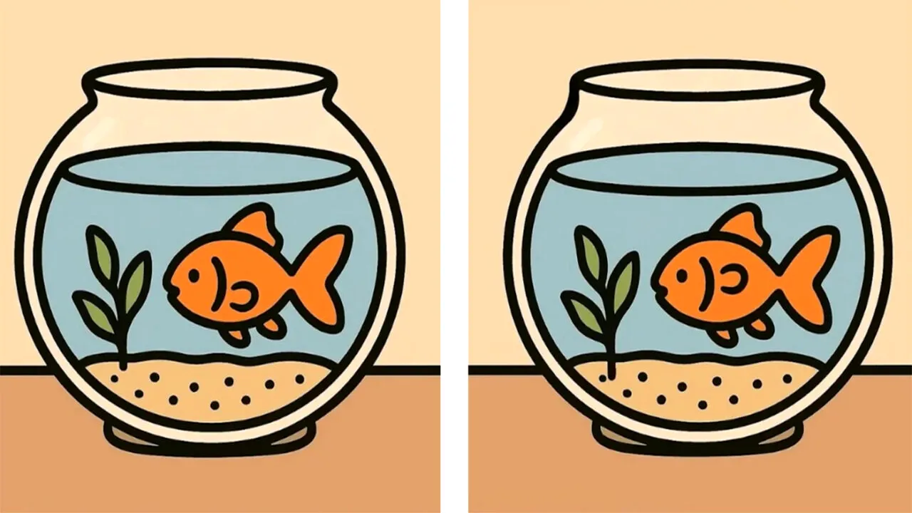 TEST IQ | Doar 1 dintre 20 de oameni poate descoperi toate cele 3 diferențe în maximum 17 secunde