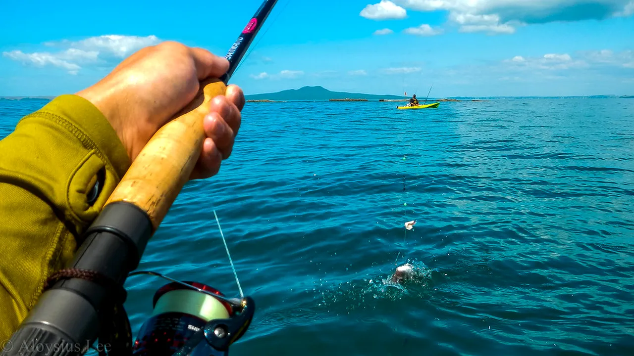 Atenție, pescari: începe PROHIBIȚIA generală! Amenda poate ajunge la 1000 de lei!