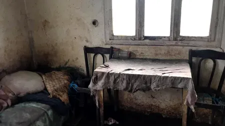 O bătrână a fost găsită inconștientă în propria casă, într-o mizerie cruntă și cu 17 câini înfometați - FOTO