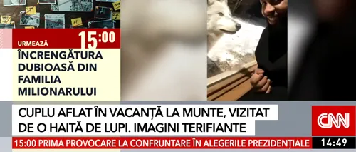 Un cuplu aflat in vacanță la munte in Canada s-a trezit cu o haită de lupi la ușă. Animalele nu erau violente