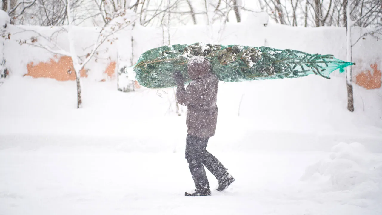 Vortexul polar se rupe. Prognoza actualizată pentru România