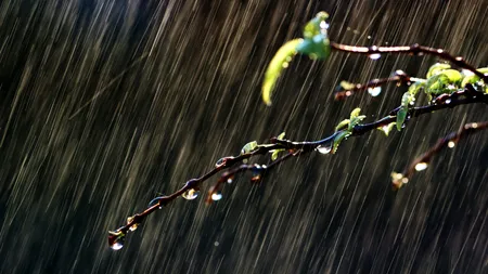 ANM: Cod galben de ploi, descărcări electrice și grindină, în majoritatea județelor. Vremea se răcește în Capitală și în restul țării