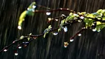 Vremea, 26 aprilie 2025. Sunt așteptate ploi, însoțite de descărcări electrice. Ce temperaturi vor fi