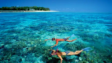 Un australian le-a cerut politicienilor să îi plătească vacanța. Răspunsul l-a copleșit