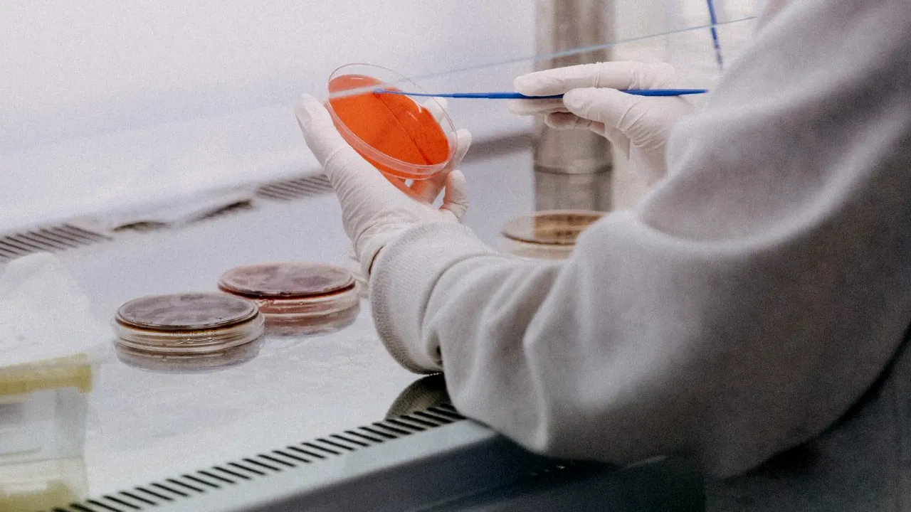 Au fost confirmate peste 1.200 de infectări cu noile tulpini de COVID în România