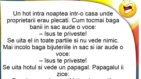 Bancul de marți | Un hoț intră într-o casă, unde proprietarii erau plecați. Aude o voce